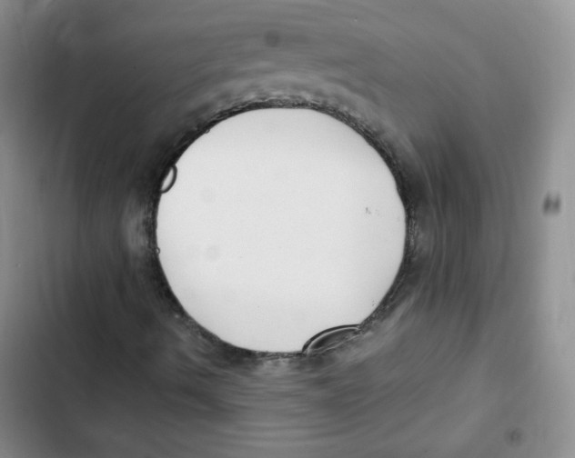 X0000102801490200809150916