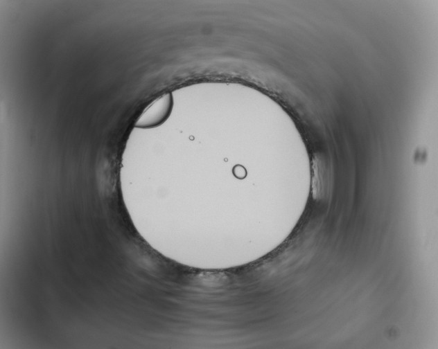 X0000102801491200809150916