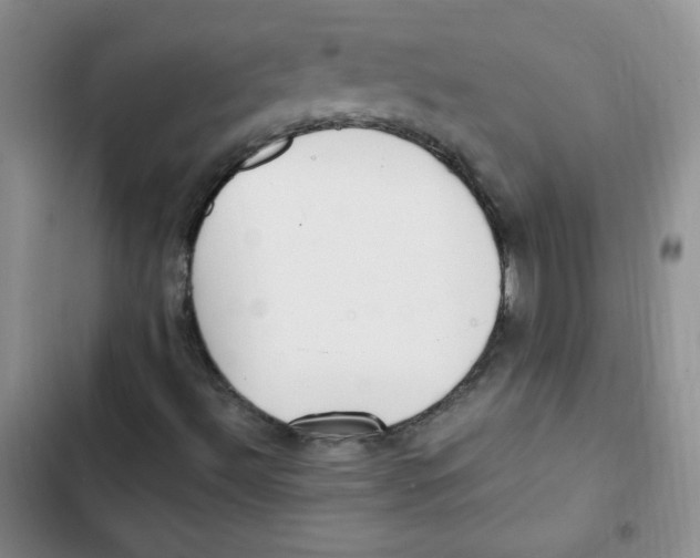 X0000102801492200809150916