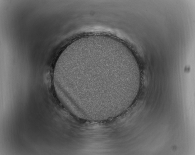 X0000102801493200809150916