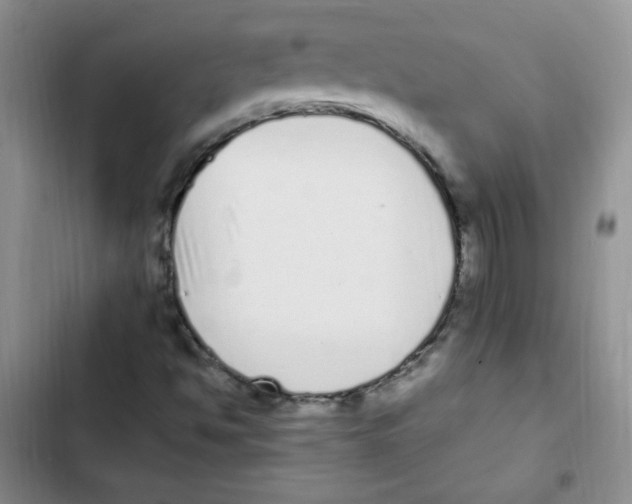 X0000102801494200809150916