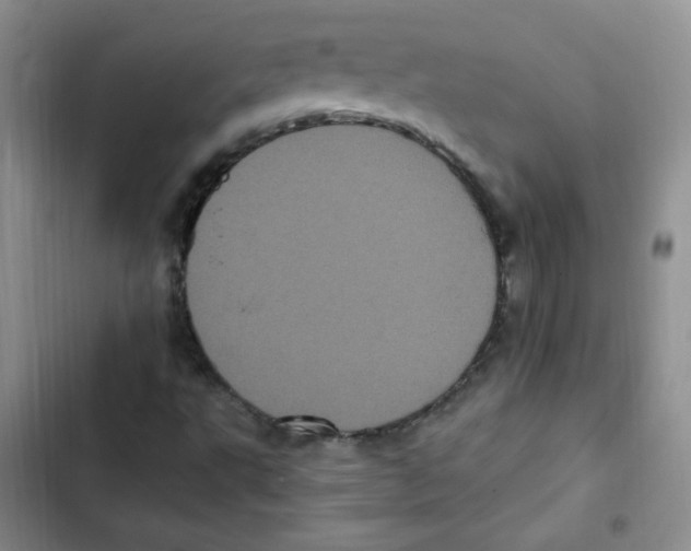 X0000102801495200809150916