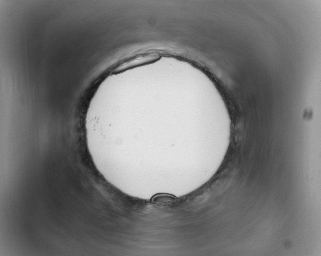 X0000102801496200809150916