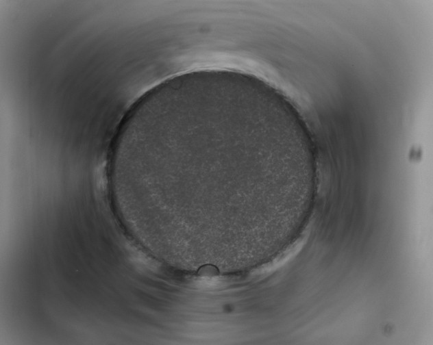 X0000102801497200809150916