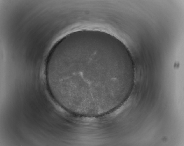 X0000102801498200809150916