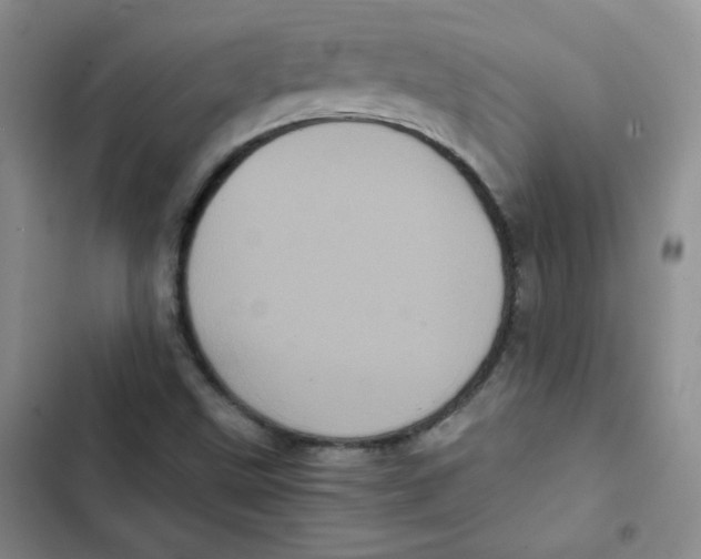 X0000102801499200809150916