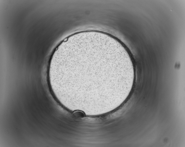 X0000102801500200809150916