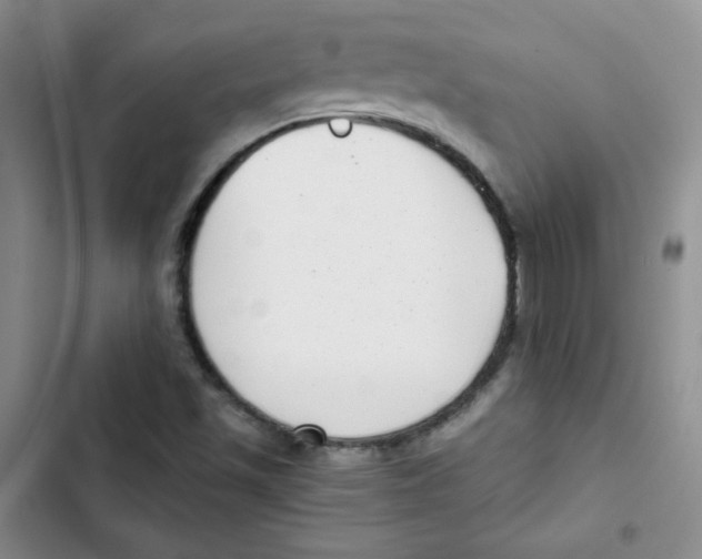 X0000102801501200809150916