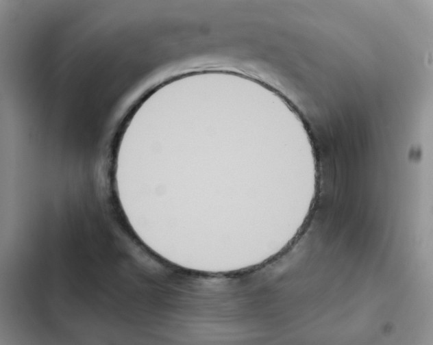 X0000102801502200809150916