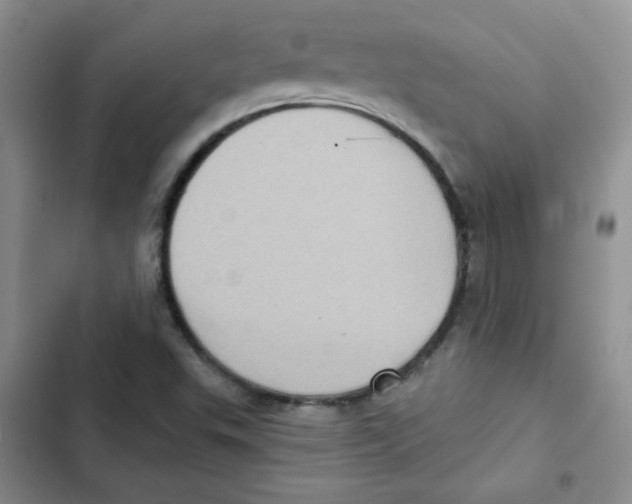 X0000102801503200809150916