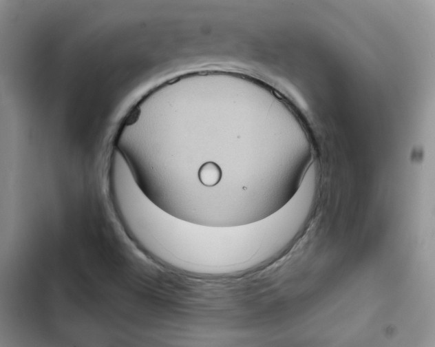 X0000102801504200809150916