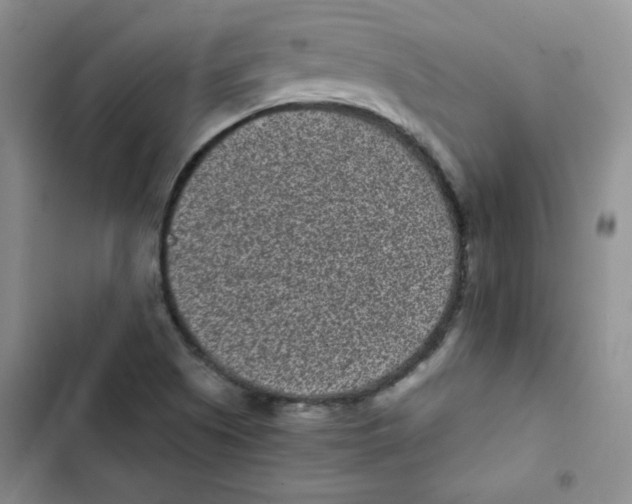 X0000102801505200809150916