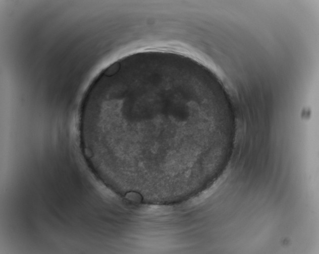 X0000102801506200809150916