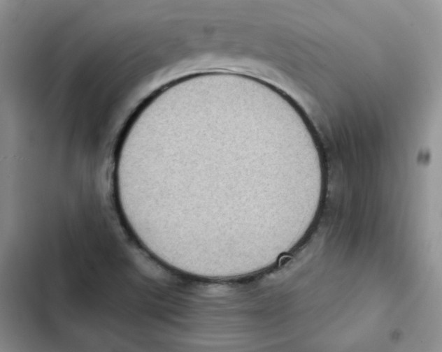 X0000102801507200809150916