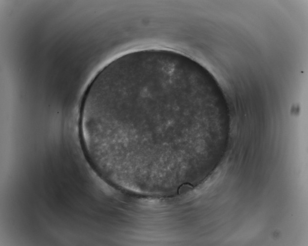 X0000102801508200809150916