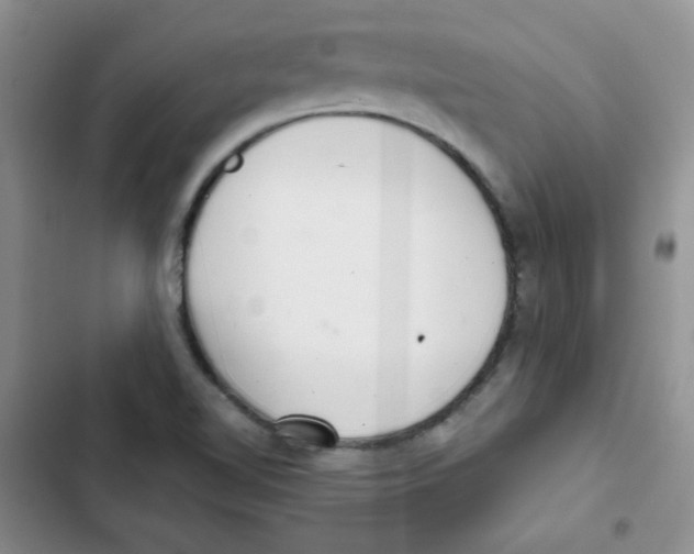 X0000102801510200809150916