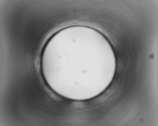 X0000102801511200809150916