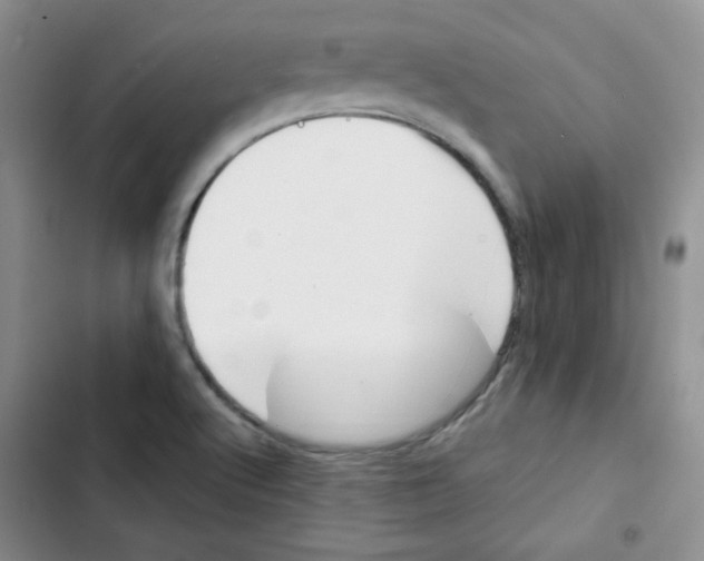 X0000102801512200809150916