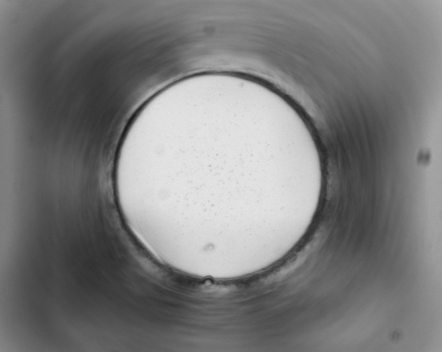 X0000102801513200809150916