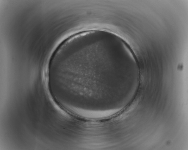 X0000102801515200809150916