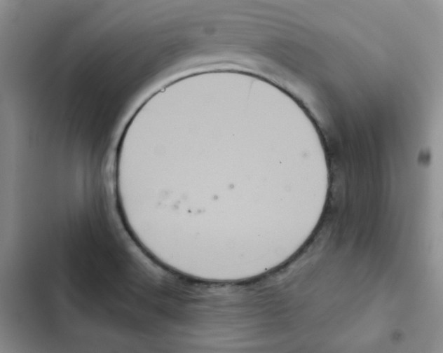 X0000102801516200809150916