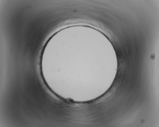 X0000102801518200809150916