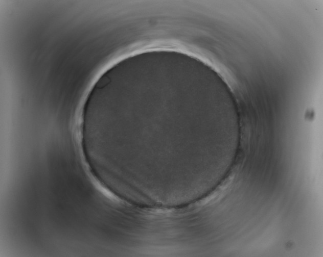 X0000102801519200809150916