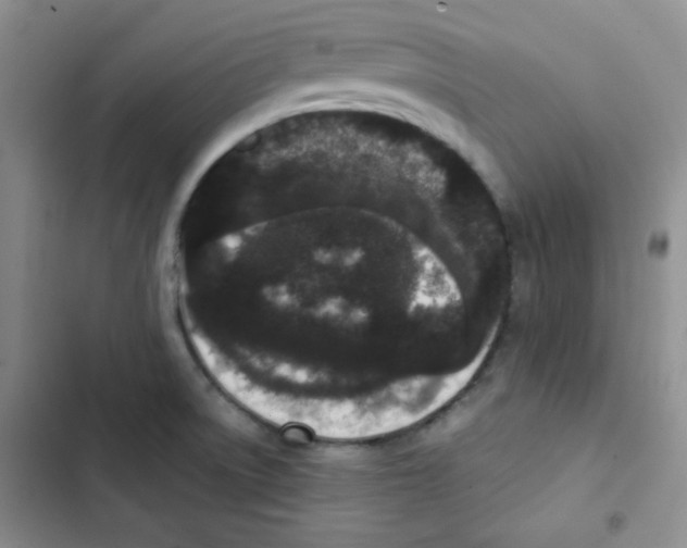 X0000102801522200809150916