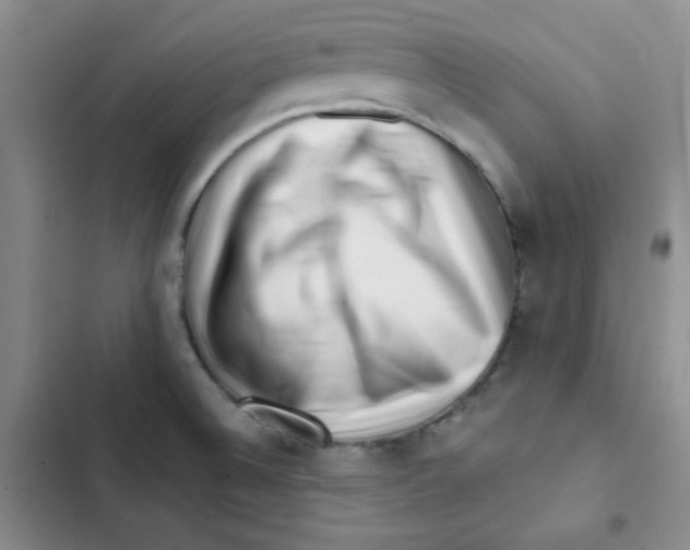 X0000102801524200809150916