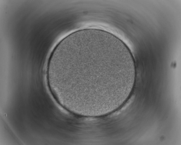 X0000102801525200809150916