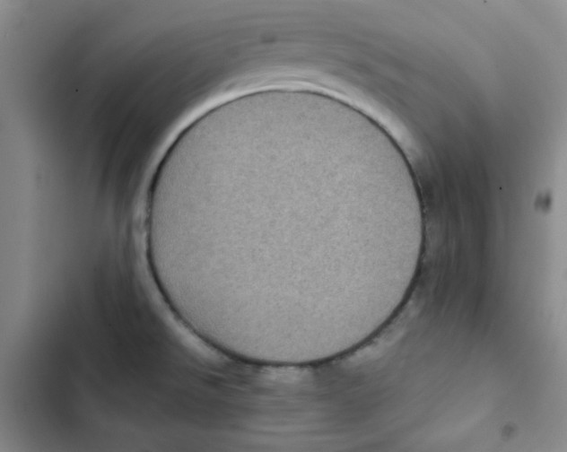 X0000102801526200809150916