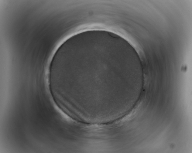 X0000102801527200809150916