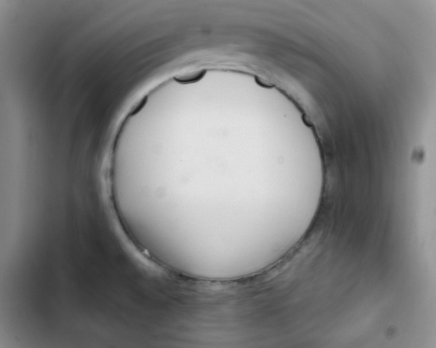 X0000102801528200809150916