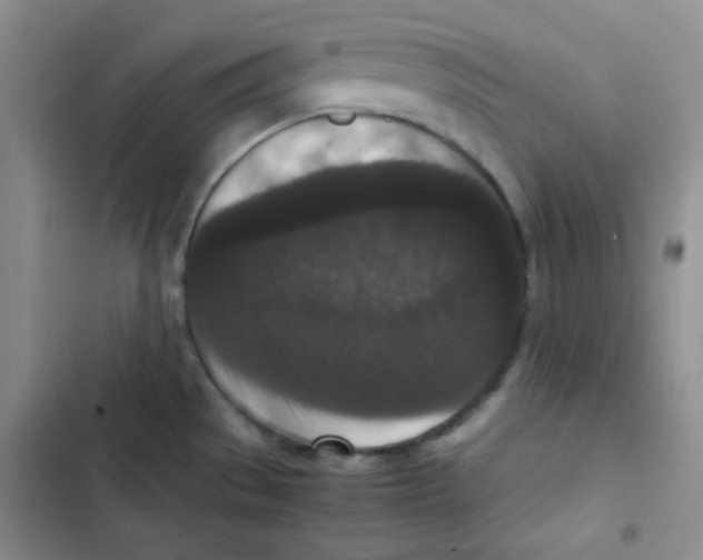 X0000102801529200809150917