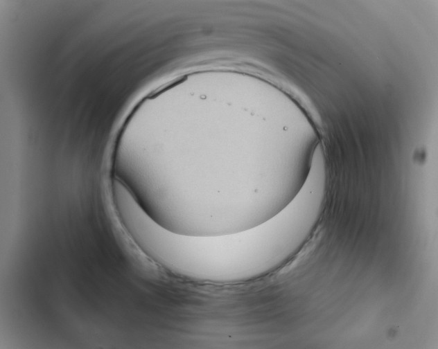 X0000102801530200809150917