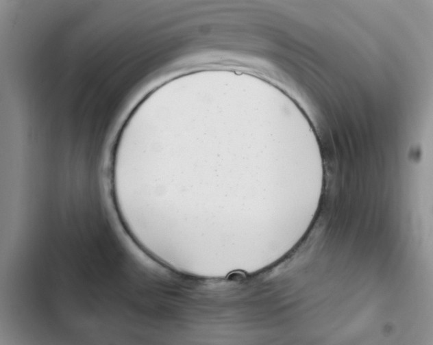 X0000102801531200809150917