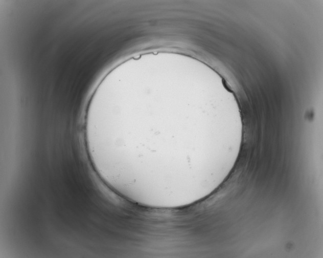 X0000102801532200809150917