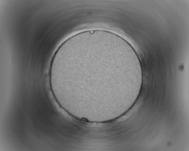 X0000102801534200809150917