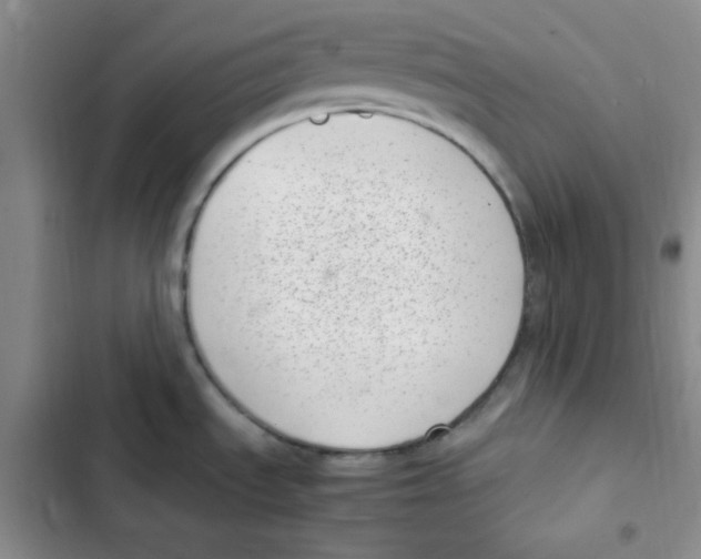 X0000102801535200809150917