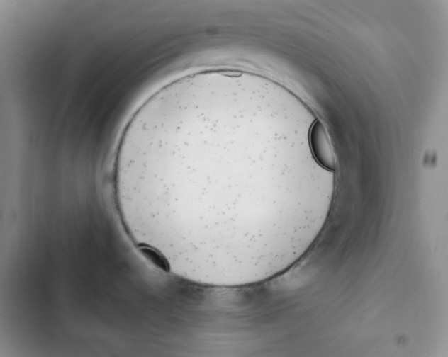 X0000102801536200809150917