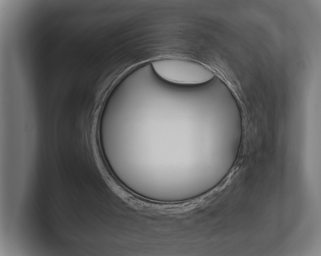 X0000102810001200808181002