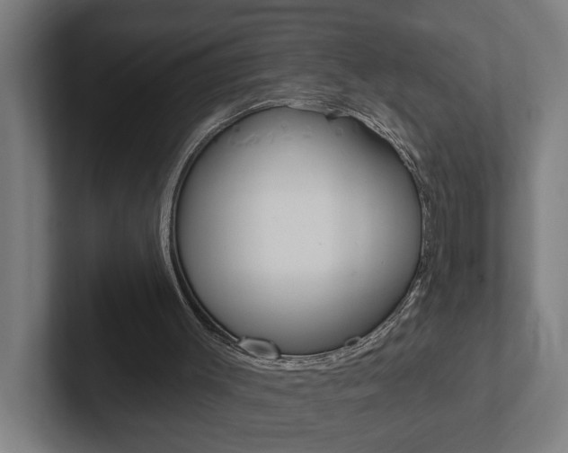 X0000102810003200808181002