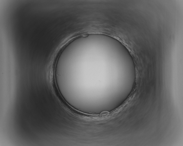 X0000102810005200808181002