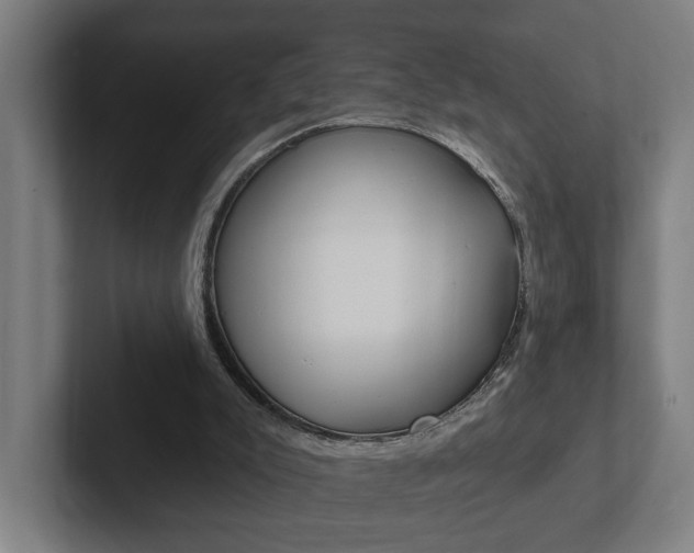 X0000102810007200808181002