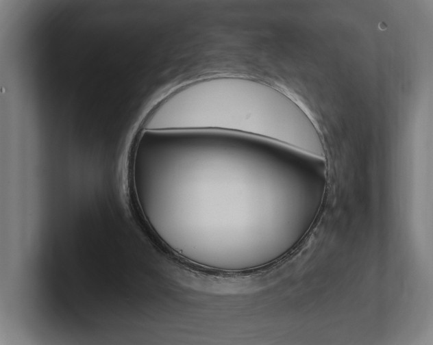 X0000102810008200808181002