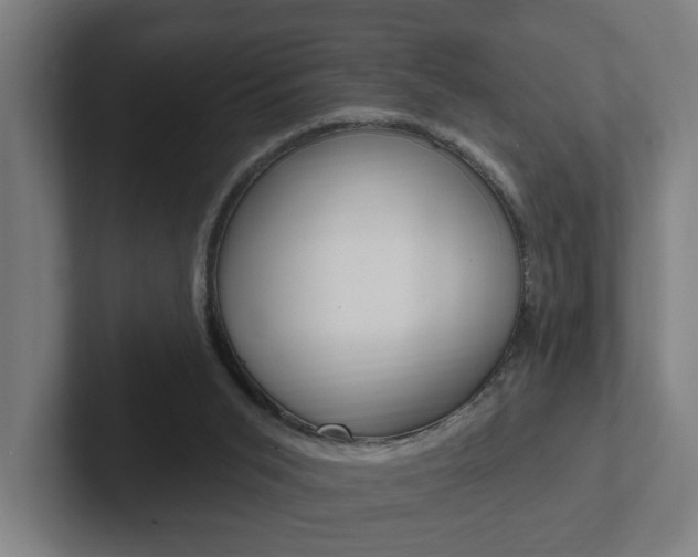 X0000102810015200808181002