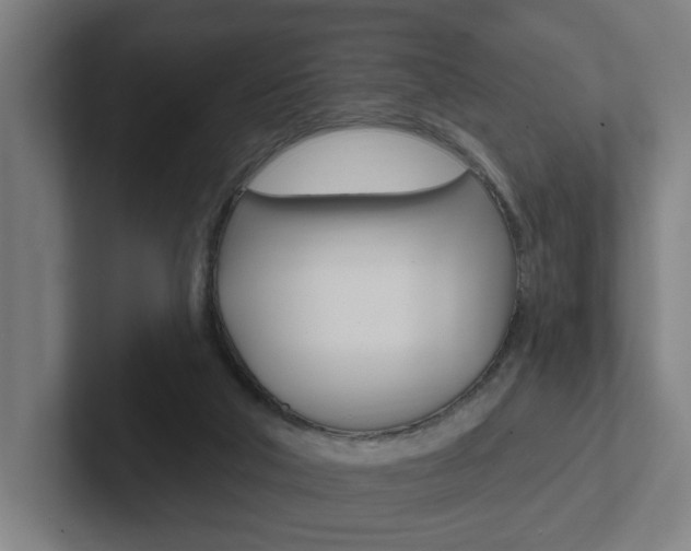 X0000102810018200808181002