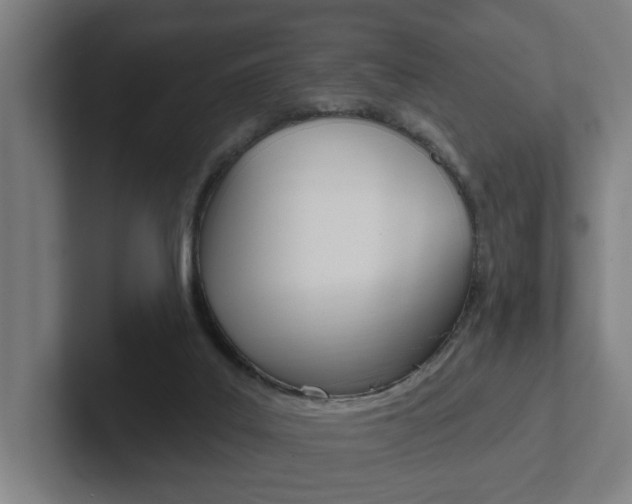 X0000102810019200808181002