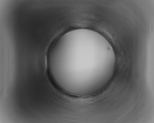 X0000102810020200808181002