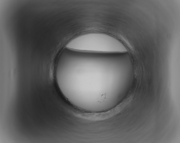 X0000102810023200808181002